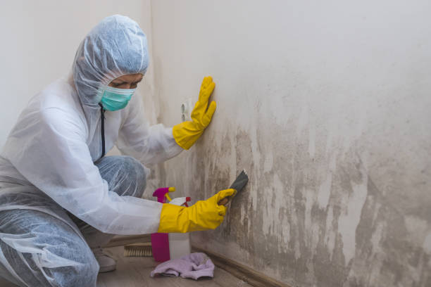 Best HVAC Mold Inspection and Cleaning  in Indio, CA