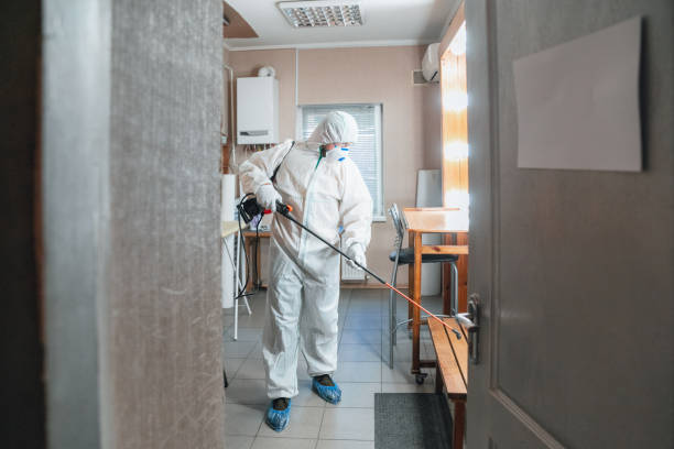 Best Mold Damage Restoration  in Indio, CA