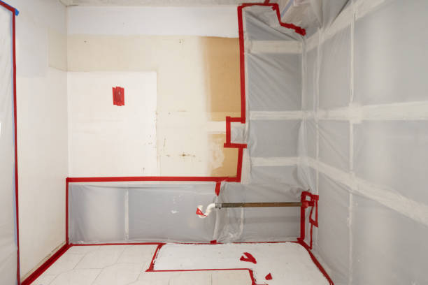Best Emergency Mold Remediation  in Indio, CA