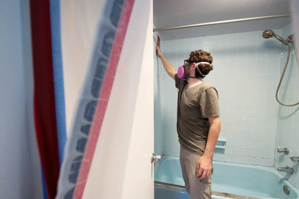Best Environmental Consulting for Mold Prevention  in Indio, CA