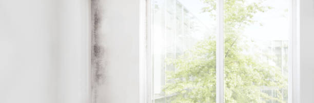 Best Indoor Air Quality Assessment  in Indio, CA