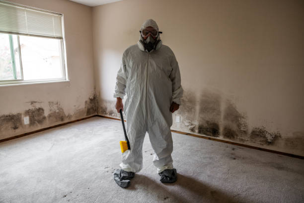Best Residential Mold Inspection & Testing  in Indio, CA
